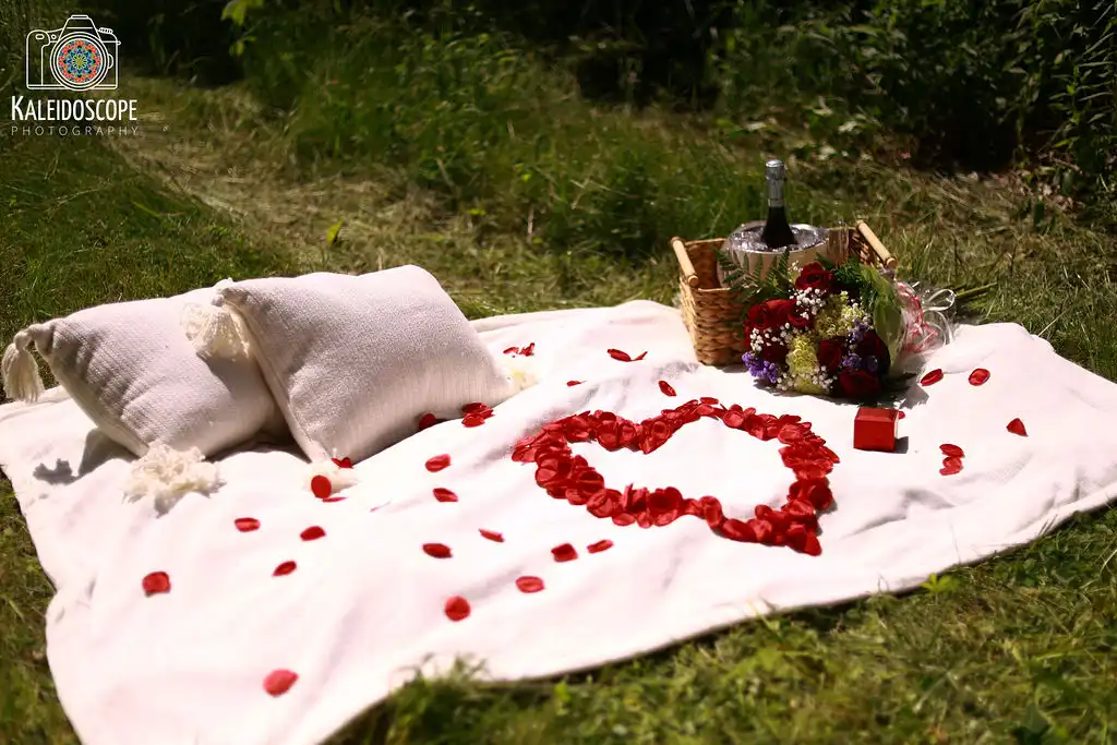Surprise Engagement Proposal blanket with rose petals for picnic after proposal