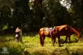 KALEIDOSCOPE_Preview03