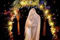 wedding184